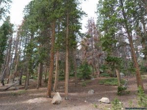 camp-out-colorado-bellaire-lake-glacial-rocks