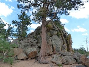 camp-out-colorado-bellaire-lake-good-climbing-rocks
