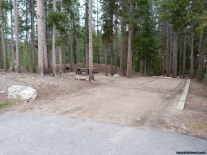 camp-out-colorado-chambers-lake-campground-thick-woods