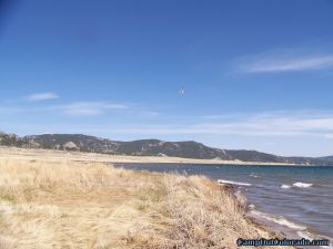 camp-out-colorado-eleven-mile-state-park-windblown-shore