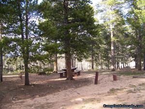 camp-out-colorado-kenosha-pass-campground-campsite-layout