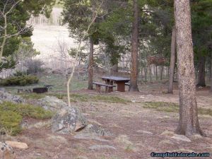 camp-out-colorado-kenosha-pass-campground-campsite-spread