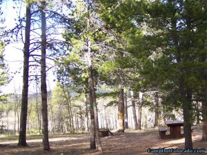 camp-out-colorado-kenosha-pass-campground-campsite-view