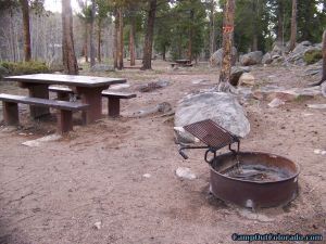 camp-out-colorado-kenosha-pass-campground-fire-ring