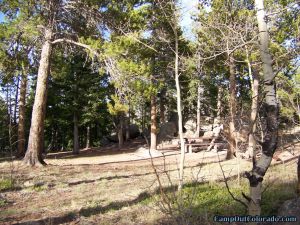 camp-out-colorado-kenosha-pass-campground-thick-trees