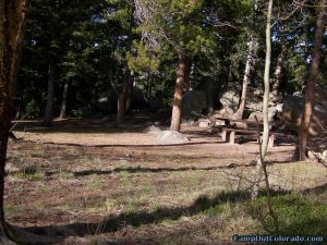 camp-out-colorado-kenosha-pass-campground-wooded-campsite
