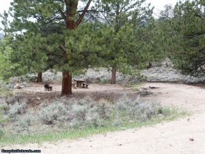 camp-out-colorado-lakeview-campground-pinecones