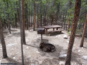 camp-out-colorado-lakeview-campground-thick-woods