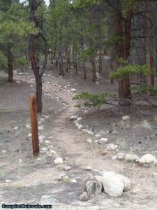 camp-out-colorado-lakeview-campground-trail