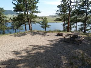 camp-out-colorado-pinewood-campsite