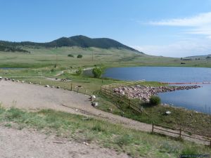 camp-out-colorado-pinewood-outlet-campground