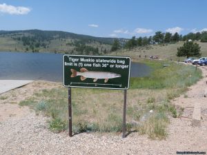 camp-out-colorado-pinewood-tiger-muskie