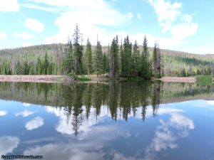 Read Our Ranger Lakes Campground Camping Review