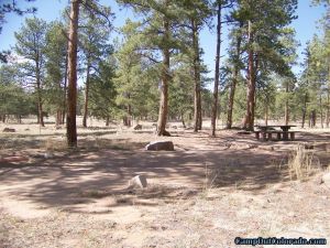 camp-out-colorado-round-mountain-campground-open-forest