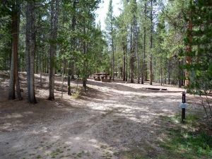 Silver Dollar Campground Camping Review - Camp Out Colorado