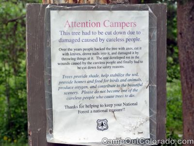 Campground-tree-sign 1