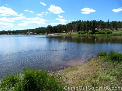 Campoutcolorado-dowdy-lake-campground-ducks-swim