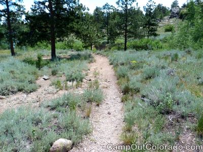 Campoutcolorado-dowdy-lake-campground-trail