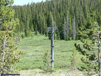 campoutcolorado-meadows-campground-rabbit-ears-bird-nest