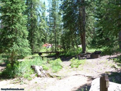 campoutcolorado-meadows-campground-rabbit-ears-thick-trees