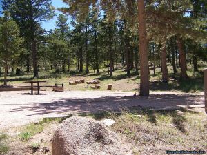 campoutcolorado-west-lake-wooded-area