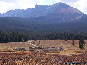lizard_head_pass_meadow