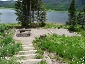 pearl-lake-state-park-campground-thick-underbrush