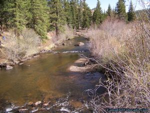 twin-eagle-trailhead-campground-tarryall-creek-from-bridge