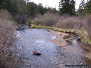 twin-eagle-trailhead-campground-tarryall-creek-wading