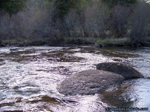 twin-eagle-trailhead-campground-tarryall-creek
