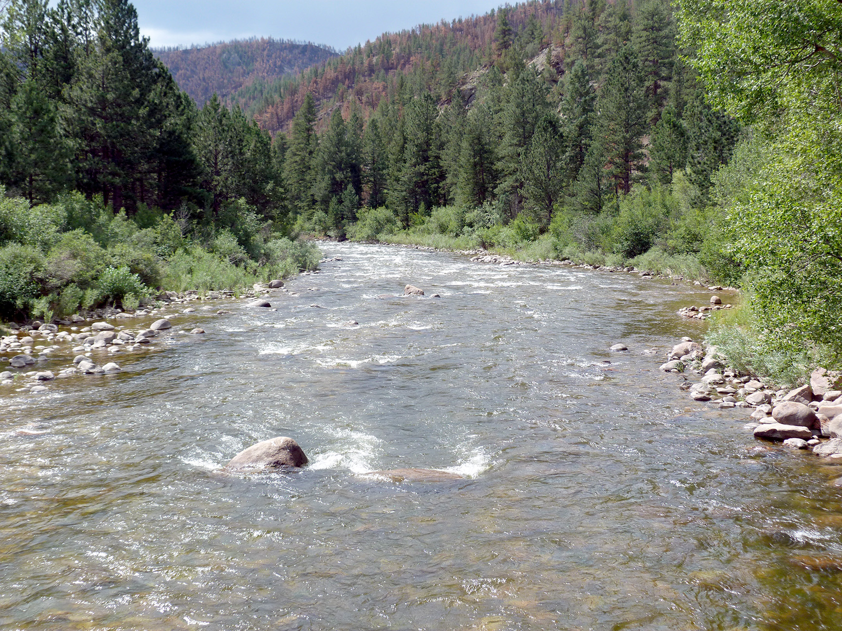 Kokanee Salmon Fishing Season 2016 Camp Out Colorado